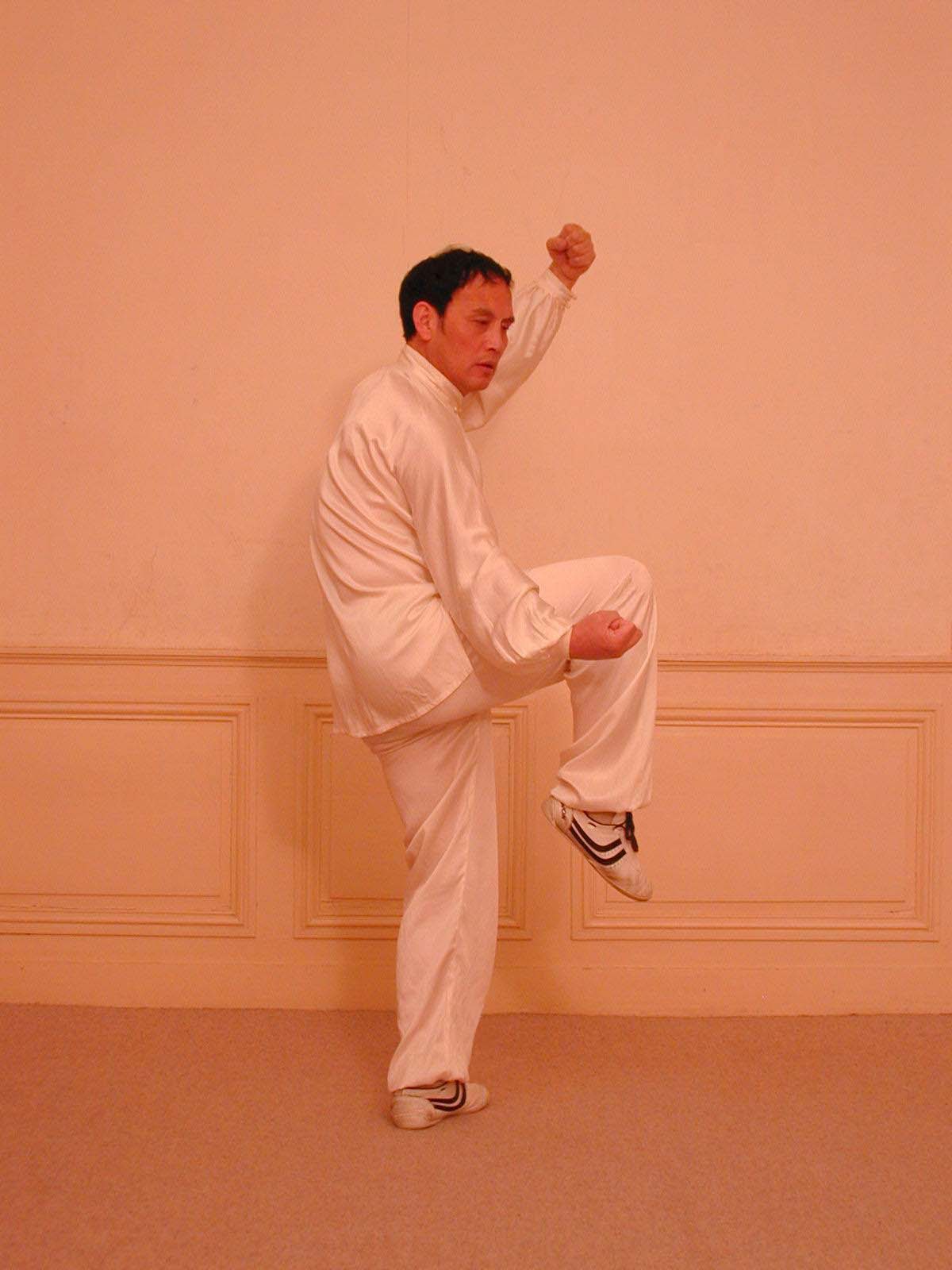 apprendre-le-tai-ji-quan-tai-chi-chuan-style-chen-avec-un-ma-tre-dans