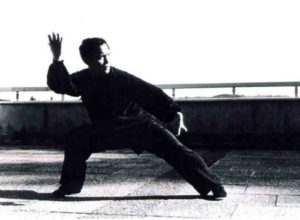 Maître SUN Fa enseigne le Bagua Zhang, art martial interne chinois, comme le tai ji quan (tai chi chuan) à l'académie Tian Long, Lyon1